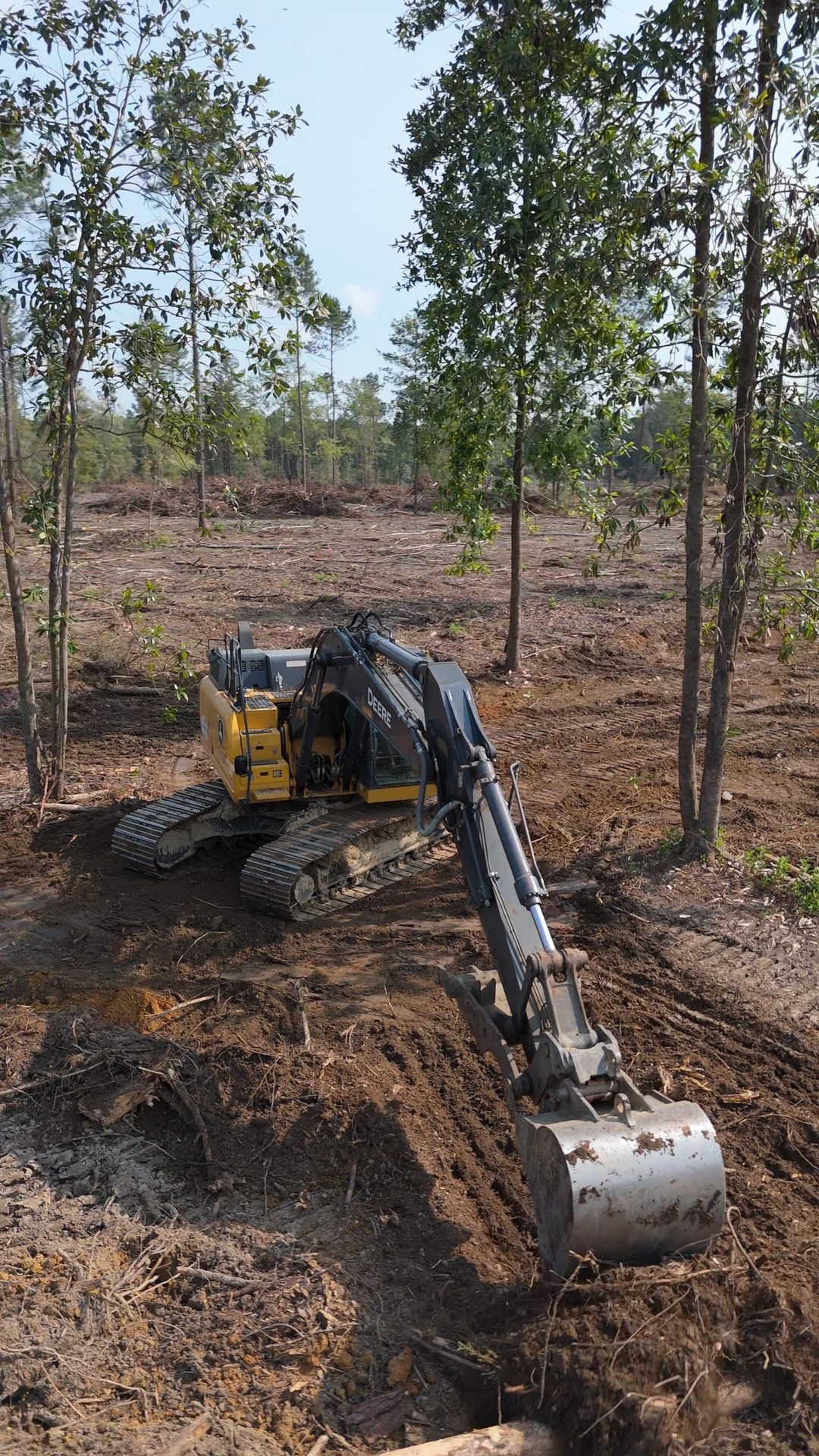 Excavator clearing brush and timber on a Louisiana job site